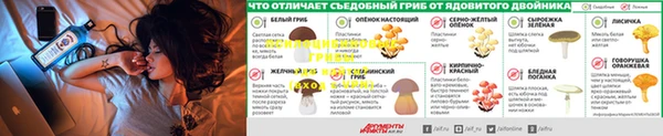 гидропоника Волоколамск