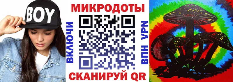 Псилоцибиновые грибы Psilocybe  Севастополь 